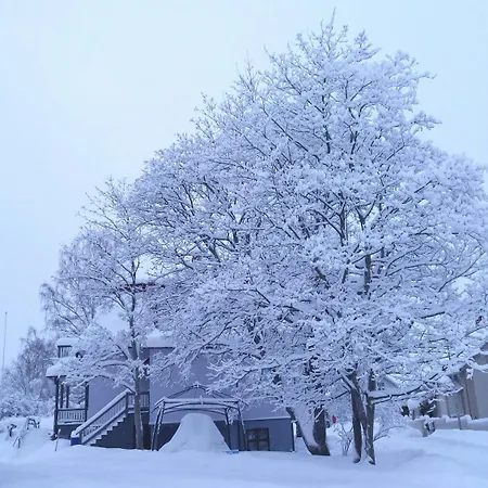 Boutique Tavis, Check In Olavinkatu 8 *