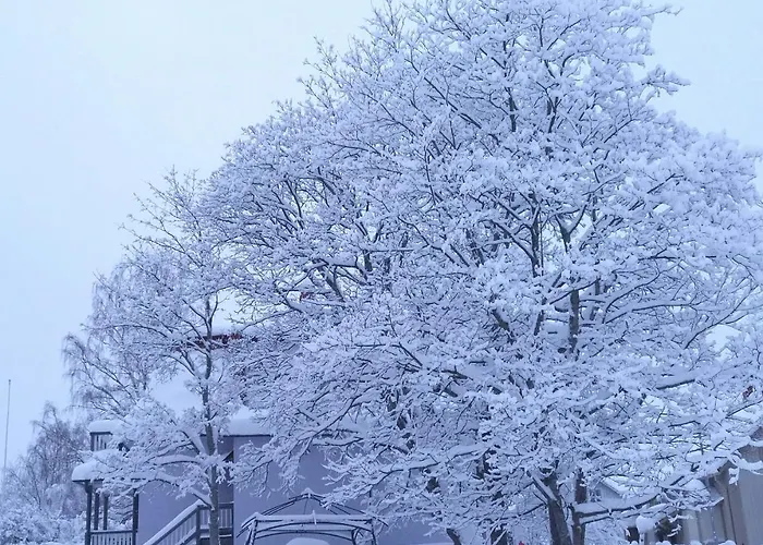 Boutique Tavis, Check In Olavinkatu 8 *